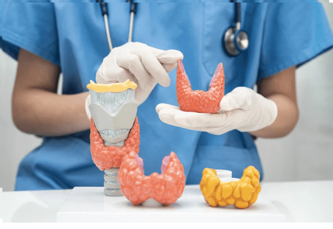 Preparação para Cirurgia de Tireoide: Guia Completo